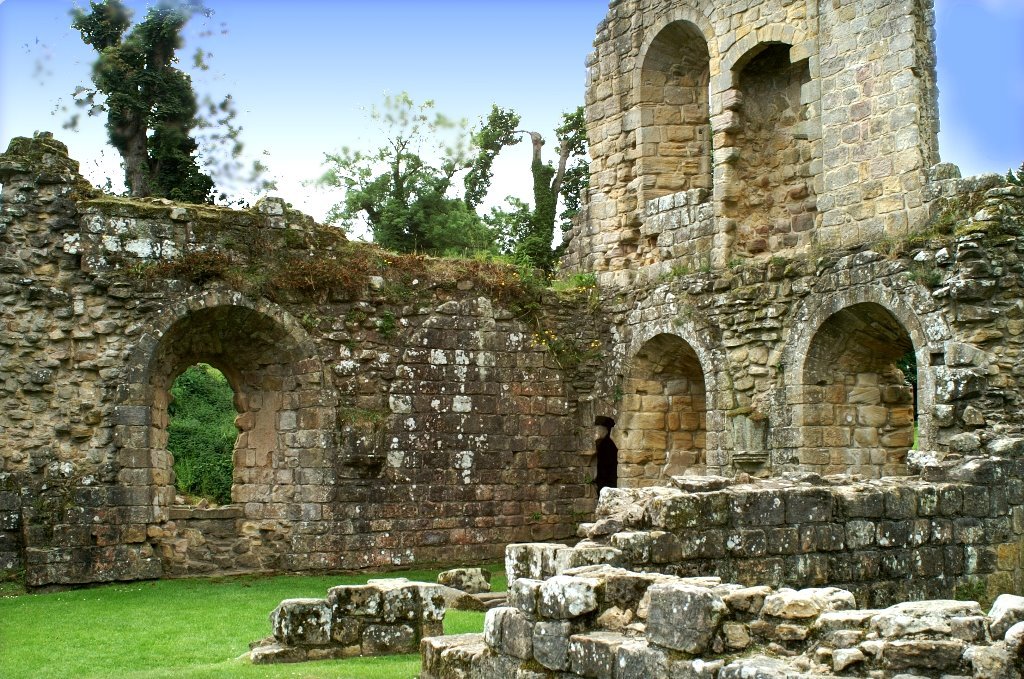 Wall Ruins  Fountains Abbey